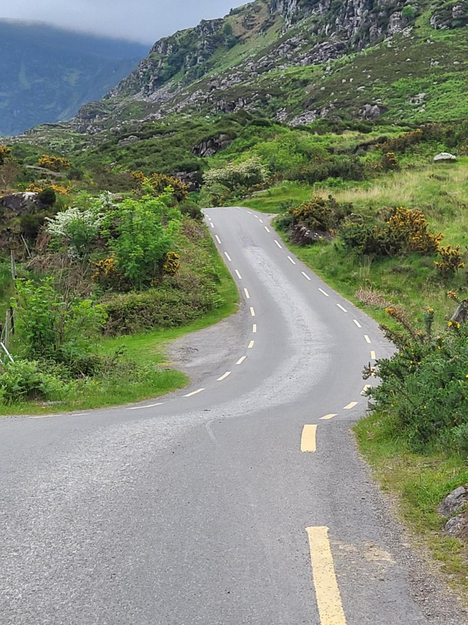 Colleen Bawn Cottage Gap Of Dunloe Kerry Laune Bridge Exteriör bild